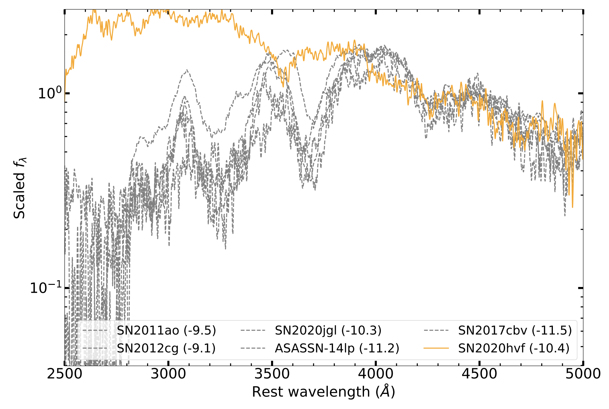 Science Image 13
