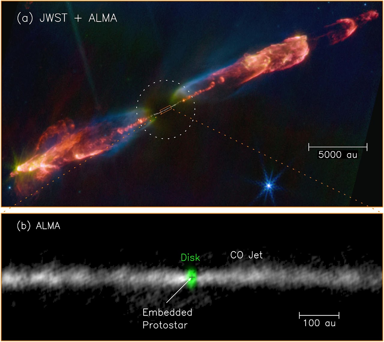 Science Image 10